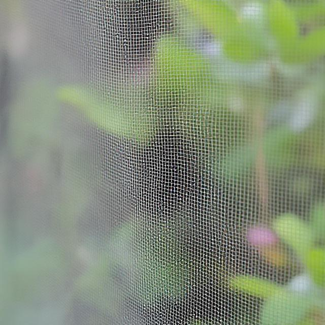 Mosquito Mesh